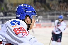 Eishockey, Herren, DEL, Saison 20202021, Straubing Tigers - Adler Mannheim, 22.01.2021
