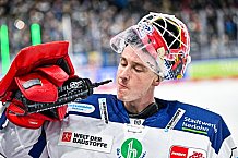 Eishockey, Herren, Penny DEL, 36. Spieltag, Saison 2023-2024, Straubing Tigers - Iserlohn Roosters,07.01.2024