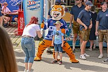 Eishockey, Herren, DEL, Penny DEL, Saison 2023-2024, Straubing Tigers, Mannschaftsvorstellung im Weckmannszelt,12.08.2023