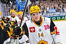 Eishockey, Men, CHL, Champions Hockey League, Regular Saison 2024-25, Game Day 2, Straubing Tigers - Skelleftea AIK, 08.09.2024