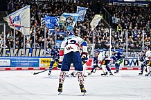 Eishockey, Men, DEL, Penny DEL, Hauptrunde Saison 2024-25, 5. Spieltag, Straubing Tigers - Eisbären Berlin, 01.10.2024