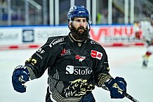 Eishockey, Herren, Penny DEL, 12. Spieltag, Saison 2023-2024, Straubing Tigers - Duesseldorfer EG,20.10.2023