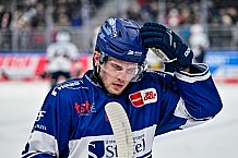 Eishockey, Herren, Penny DEL, 37. Spieltag, Saison 2023-2024, Straubing Tigers - Eisbären Berlin,12.01.2024