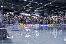Eishockey, Herren, DEL, Penny DEL, Vorbereitung, Gäubodencup 2023, Saison 2023-2024, Straubing Tigers - Nürnberg Ice Tigers,18.08.2023