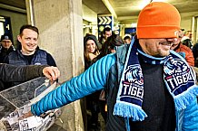 Eishockey, Herren, Penny DEL, DEL, Saison 2022-2023, Hauptrunde, Straubing Tigers - Kölner Haie, 57. Spieltag, 26.02.2023