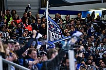 Eishockey, Herren, Penny DEL, DEL, Saison 2022-2023, Playoffs, Viertelfinale, Spiel 5, Straubing Tigers - Grizzlys Wolfsburg, 24.03.2023