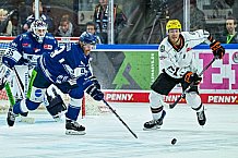 Eishockey, Herren, Penny DEL, 4. Spieltag, Saison 2023-2024, Straubing Tigers - Loewen Frankfurt,24.09.2023