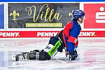Eishockey, Herren, Penny DEL, 22. Spieltag, Saison 2023-2024, Straubing Tigers - Fischtown Pinguins Bremerhaven,26.11.2023