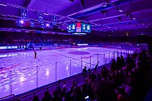 Eishockey, Herren, Penny DEL, 50. Spieltag, Saison 2023-2024, Straubing Tigers - Eisbären Berlin,01.03.2024