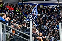 Eishockey, Men, DEL, Penny DEL, Hauptrunde Saison 2024-25, 8. Spieltag, Straubing Tigers - Adler Mannheim, 11.10.2024