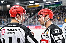 Eishockey, Herren, Penny DEL, 22. Spieltag, Saison 2023-2024, Straubing Tigers - Fischtown Pinguins Bremerhaven,26.11.2023