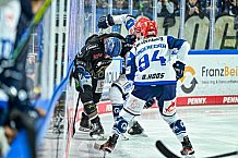 Eishockey, Herren, Penny DEL, 16. Spieltag, Saison 2023-2024, Straubing Tigers - Schwenninger Wild Wings,31.10.2023