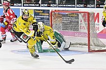 Herren, Eishockey, Oberliga-Süd, DEB, Saison 2024-2025, Deggendorfer SC - Tölzer Löwen, 22.09.2024