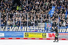 Eishockey, Herren, Penny DEL, 33. Spieltag, Saison 2023-2024, Straubing Tigers - Nürnberg Ice Tigers,30.12.2023