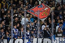 Eishockey, Herren, DEL, Saison 2021-2022, Playoff, Viertelfinale, Spiel 1, Straubing Tigers - Adler Mannheim, 10.04.2022