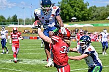 American Football, Herren, Shark Water GFL, Saison 2022, Straubing Spiders -  Mecenaries Marburg, 02.07.2022