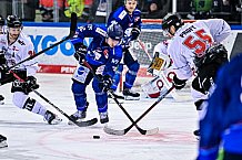 Eishockey, Herren, Penny DEL, DEL, Saison 2022-2023, Hauptrunde, Straubing Tigers - Kölner Haie, 29. Spieltag, 11.12.2022