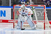 Eishockey, Herren, Penny DEL, 34. Spieltag, Saison 2023-2024, Straubing Tigers - Augsburger Panther,03.01.2024