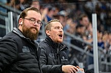 Eishockey, Men, CHL, Champions Hockey League, Regular Saison 2024-25, Game Day 1, Straubing Tigers - SonderjyskE Vojens, 06.09.2024