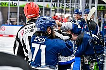 Eishockey, Herren, Penny DEL, Playoffs, Viertelfinale, Spiel 7, Saison 2023-2024, Straubing Tigers - Schwenninger Wild Wings,30.03.2024