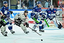 Eishockey, Herren, Penny DEL, 11. Spieltag, Saison 2023-2024, Straubing Tigers - Koelner Haie,15.10.2023