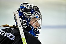 Eishockey, Herren, DEL, Saison 2021-2022, 52. Spieltag, Straubing Tigers - Showtraining,  06.03.2022