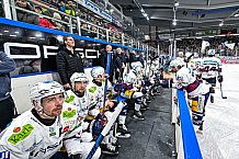 Eishockey, Herren, Penny DEL, 37. Spieltag, Saison 2023-2024, Straubing Tigers - Eisbären Berlin,12.01.2024