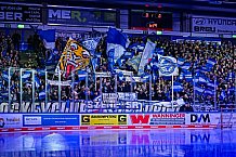 Eishockey, Herren, Penny DEL, Playoffs, Viertelfinale, Spiel 1, Saison 2023-2024, Straubing Tigers - Schwenninger Wild Wings,16.03.2024