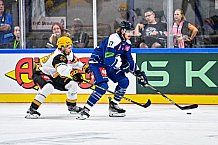 Eishockey, Men, CHL, Champions Hockey League, Regular Saison 2024-25, Game Day 2, Straubing Tigers - Skelleftea AIK, 08.09.2024