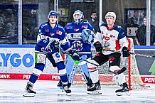 Eishockey, Herren, DEL, Penny DEL, Vorbereitung, Gäubodencup 2023, Saison 2023-2024, Straubing Tigers - Nürnberg Ice Tigers,18.08.2023