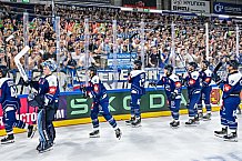 Eishockey, Men, CHL, Champions Hockey League, Regular Saison 2024-25, Game Day 2, Straubing Tigers - Skelleftea AIK, 08.09.2024