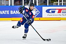 Eishockey, Men, CHL, Champions Hockey League, Regular Saison 2024-25, Game Day 4, Straubing Tigers - Dynamo Pardubice, 15.09.2024