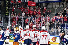 Eishockey, Men, CHL, Champions Hockey League, Regular Saison 2024-25, Game Day 4, Straubing Tigers - Dynamo Pardubice, 15.09.2024