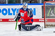 Eishockey, Herren, Penny DEL, 33. Spieltag, Saison 2023-2024, Straubing Tigers - Nürnberg Ice Tigers,30.12.2023