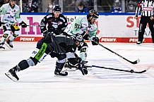 Eishockey, Herren, DEL, Saison 2021-2022, 01.10.2021