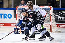 Eishockey, Herren, DEL, Saison 2021-2022, 19.10.2021