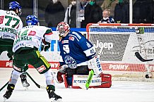 Eishockey, Herren, DEL, Saison 2021-2022, 25. Spieltag, Straubing Tigers - Augsburger Panther,  20.02.2022