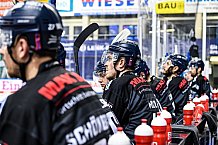 Eishockey, Herren, DEL, Saison 2021-2022, 42. Spieltag, 14.01.2022