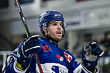 Eishockey, Herren, Penny DEL, 42. Spieltag, Saison 2023-2024, Straubing Tigers - Ingolstadt Panther,28.01.2024