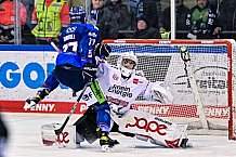 Eishockey, Herren, Penny DEL, DEL, Saison 2022-2023, Hauptrunde, Straubing Tigers - Kölner Haie, 29. Spieltag, 11.12.2022