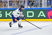 Eishockey, Men, CHL, Champions Hockey League, Regular Saison 2024-25, Game Day 1, Straubing Tigers - SonderjyskE Vojens, 06.09.2024