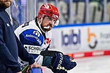 Eishockey, Herren, Penny DEL, Playoffs, Viertelfinale, Spiel 7, Saison 2023-2024, Straubing Tigers - Schwenninger Wild Wings,30.03.2024