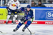 Eishockey, Men, DEL, Penny DEL, Hauptrunde Saison 2024-25, 4. Spieltag, Straubing Tigers - EHC Red Bull München, 29.09.2024