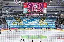 Eishockey, Men, CHL, Champions Hockey League, Regular Saison 2024-25, Game Day 2, Straubing Tigers - Skelleftea AIK, 08.09.2024