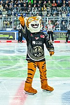 Eishockey, Herren, Penny DEL, 12. Spieltag, Saison 2023-2024, Straubing Tigers - Duesseldorfer EG,20.10.2023