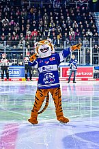 Eishockey, Herren, Penny DEL, 37. Spieltag, Saison 2023-2024, Straubing Tigers - Eisbären Berlin,12.01.2024