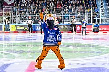 Eishockey, Herren, Penny DEL, Playoffs, Halbfinale, Spiel 2, Saison 2023-2024, Straubing Tigers - Eisbären Berlin, n03.04.2024