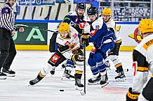 Eishockey, Men, CHL, Champions Hockey League, Regular Saison 2024-25, Game Day 2, Straubing Tigers - Skelleftea AIK, 08.09.2024