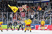 Eishockey, Herren, Penny DEL, 20. Spieltag, Saison 2023-2024, Straubing Tigers - Duesseldorfer EG,19.11.2023