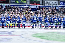 Eishockey, Herren, DEL, Penny DEL, Vorbereitung, Gäubodencup 2023, Saison 2023-2024, Straubing Tigers - Nürnberg Ice Tigers,18.08.2023